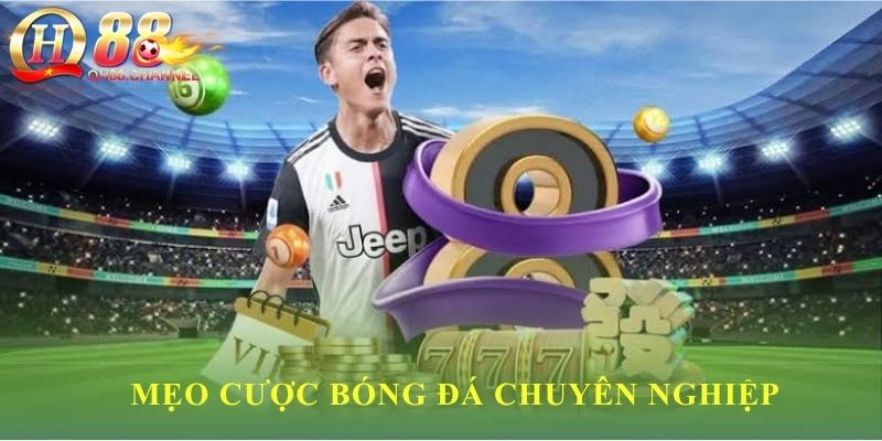 Mẹo cược bóng đá chuyên nghiệp